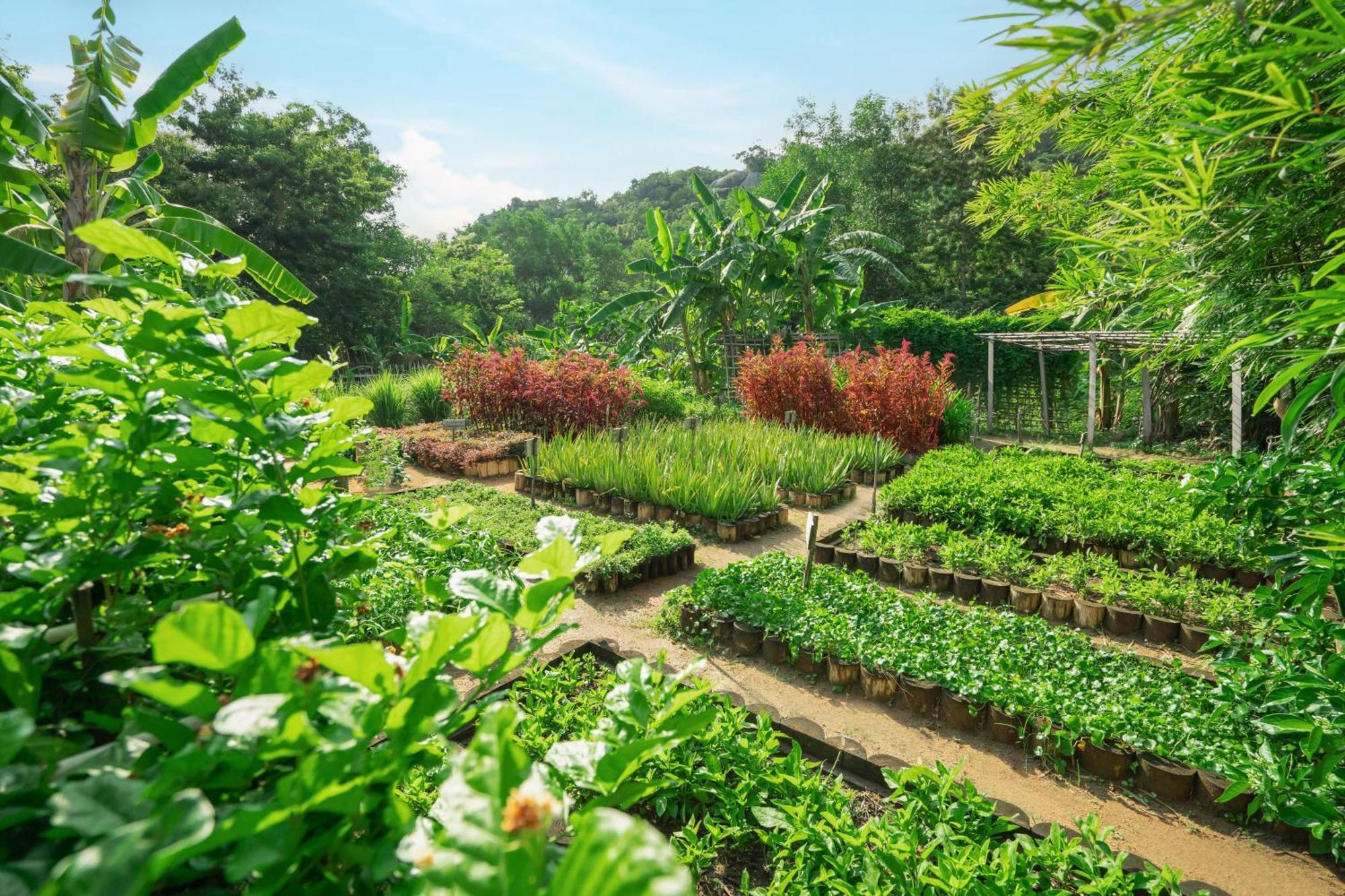 An Lam Retreats Ninh Van Bay (Adults Only) Екстер'єр фото